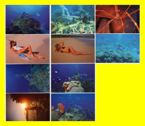 10 Lot US Virgin Islands Sexy Post Cards~SIGNED 2 Times