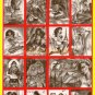 VAMPIRES and VIXENS Factory Set +Bonus Promos by Paresi