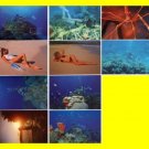 10 Underwater Amateur Bikini U.S. Virgin Islands Sexy Post Cards~SIGNED 2 Times