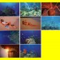 10 Underwater Amateur Bikini U.S. Virgin Islands Sexy Post Cards~SIGNED 2 Times