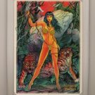 BETTY PAGE 4 Card Compilation by SIGNED Don Paresi and Steve Woron in HOLDER BETTY PAGE 4 Card Compilation by SIGNED Don Paresi and Steve Woron in HOLDER