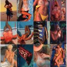 BABEWATCH Trading Card Set-Great Busty Amateur Swimwear Set + 4 Promos-Very Rare