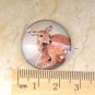 Reindeer Photo Glass Cabochon Picture Cameo Size 25mm Assorted Style