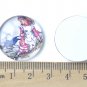Rabbit Photo Glass Cabochon Dome Round Cameo 25mm Set of 5 A8199