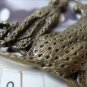 2 pcs of Antique Bronze Huge Leopard Pendants Charms 45x65mm A7044