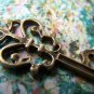 10 pcs Antique Bronze Skeleton Key Charms Pendants A201