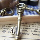 20 pcs of Antique Bronze Skeleton Key Charms Pendants 9x35mm A182