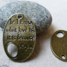 10 pcs Antique Bronze If I Know What Love Is Charms A5522