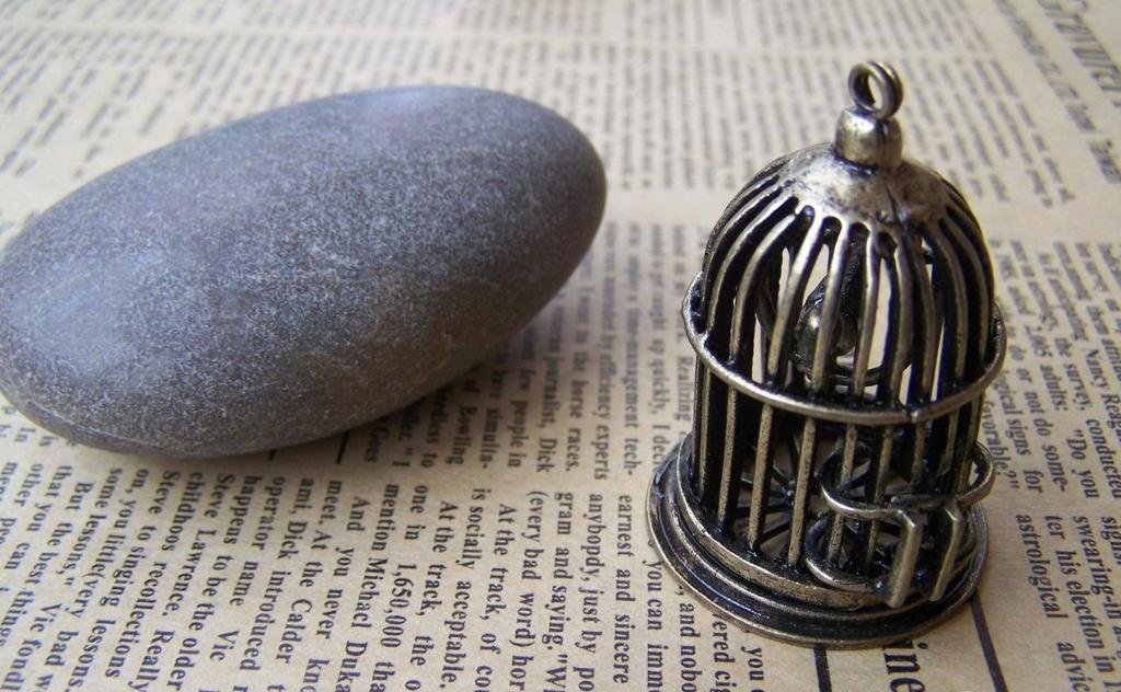 1 pc Antique Bronze Bird Cage Pendant With Bird Inside A156