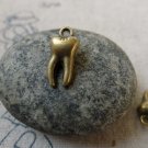 30 pcs of Antique Bronze 3D Tooth Charms 8x16mm A6481