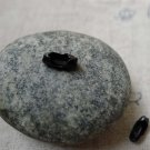 50 pcs Black Bead Chain Ends Connector Clasps A6156