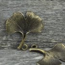 20 pcs of Antique Bronze Gingko Gingkgo Leaf Charms 23x23mm A7675