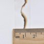 Burned Book Washi Tape/Japanese Masking Tape 15mm wide x 5M A12210