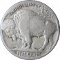 1919  Buffalo Nickel