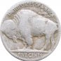 1928 D Buffalo Nickel