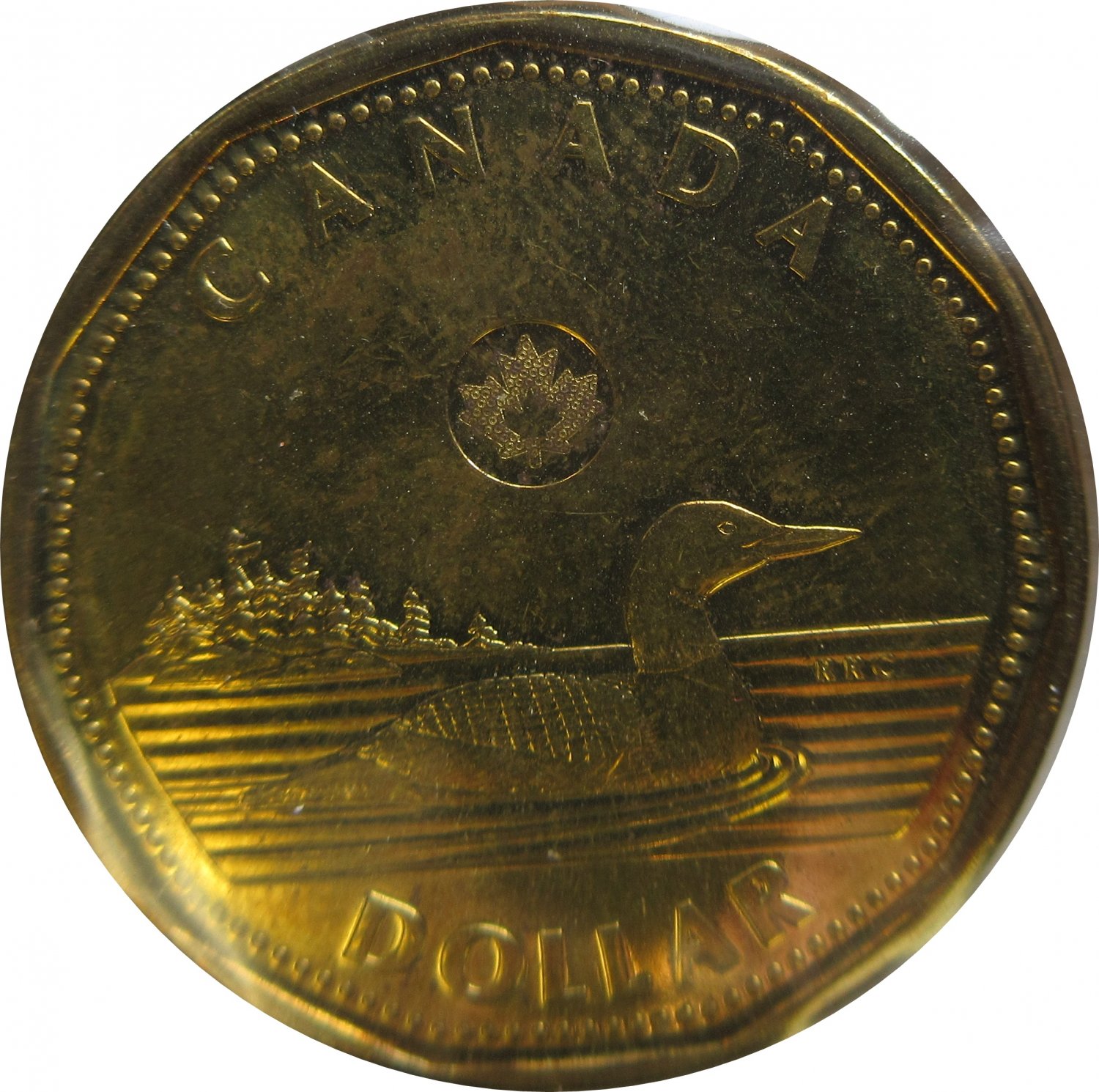 2012-canadian-dollar-loonie