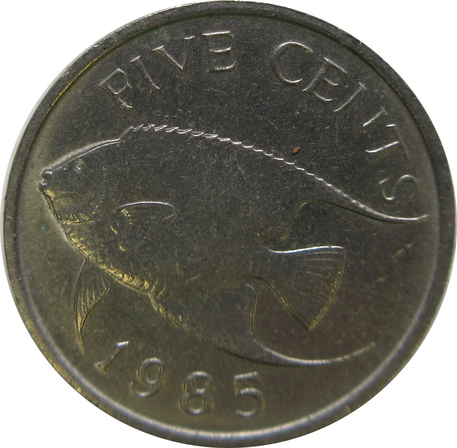 1985 Bermuda 10 Cent Fish