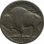 1937 Buffalo Nickel