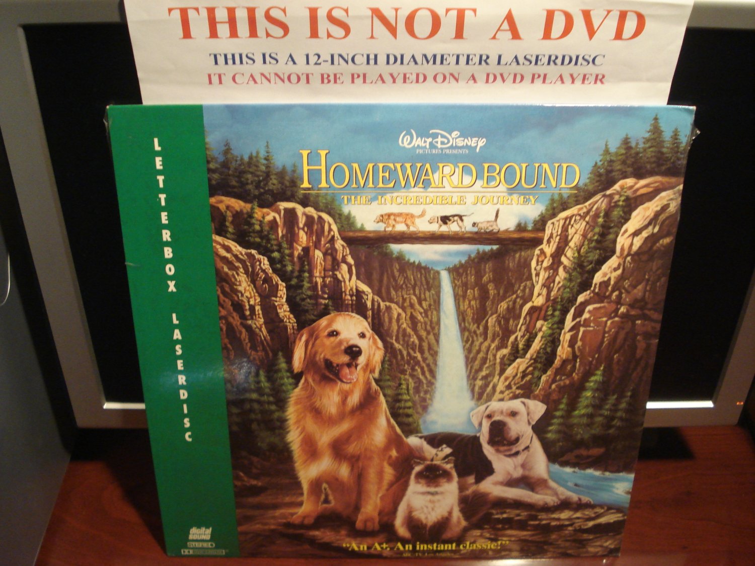 Ld Disney Homeward Bound The Incredible Journey 1993 Lot3 Ltbx Walts Laserdisc 1801 As 3527