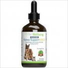 Pet Wellbeing Kidney Support Gold For Dogs Natural Canine Health 4 oz Pet Wellbeing Kidney Support Gold For Dogs Natural Canine Health 4 oz