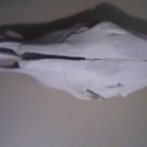 Authentic Cow Skull