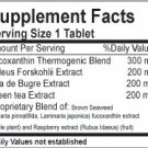 LIPTOVENE RAPID WEIGHT LOSS  FAT BURNER DIET PILL