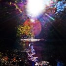 Photo "river"