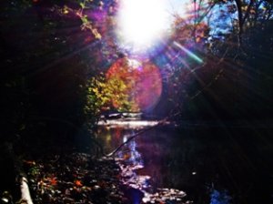 Photo "river"