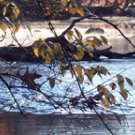 Photo "river on cold morning"