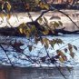 Photo "river on cold morning"