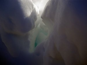 Photo "snow 1"