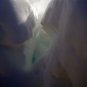 Photo "snow 1"