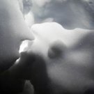 Photo "snow 4"