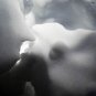 Photo "snow 4"