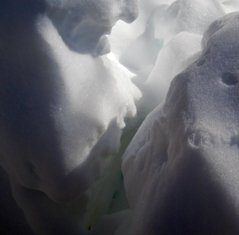 Photo "snow 5"