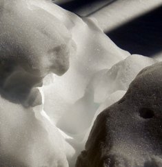 Photo "snow6"