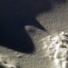 Photo "snow 7"