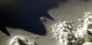 Photo "snow 7"