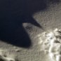 Photo "snow 7"