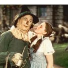 100 transfer quilt blocks wiz  of oz