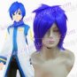 KAITO  wigs from VOCALOID