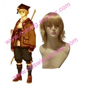 Final Fantasy XI AF  Halloween Cosplay  Wig