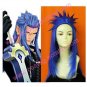 Kingdom Hearts II Organization XIII  Halloween Cosplay Wig