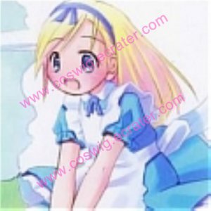 Alice Costume (3rd) from Alice in Wonderland