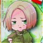 Felix Costume (Poland) from Axis Powers Hetalia