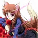 Holo Cosplay from Spice and Wolf  1