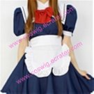 Attractive Unique dark blue Maid Costume (114)