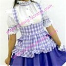 Sweet blue cosplay Maid Costume (117)