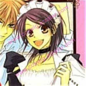 Misaki Cosplay from Maid Sama