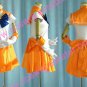 Sailor Moon Costume (Sailor Venus) from Sailor Moon